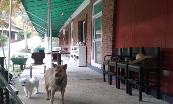 244f4a6501552d2f14724998149902e9_1617170959_5577.jpg 244f4a6501552d2f14724998149902e9_1617170959_5577.jpg