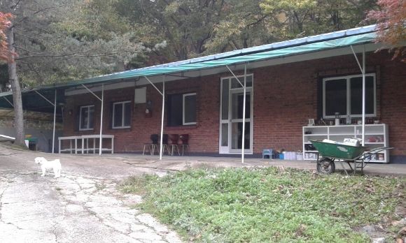 244f4a6501552d2f14724998149902e9_1617170959_7382.jpg 244f4a6501552d2f14724998149902e9_1617170959_7382.jpg