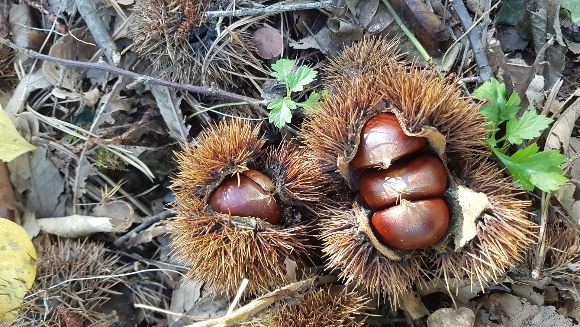 244f4a6501552d2f14724998149902e9_1617174015_9309.jpg 244f4a6501552d2f14724998149902e9_1617174015_9309.jpg