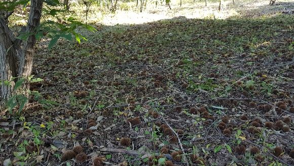 244f4a6501552d2f14724998149902e9_1617174016_2304.jpg 244f4a6501552d2f14724998149902e9_1617174016_2304.jpg