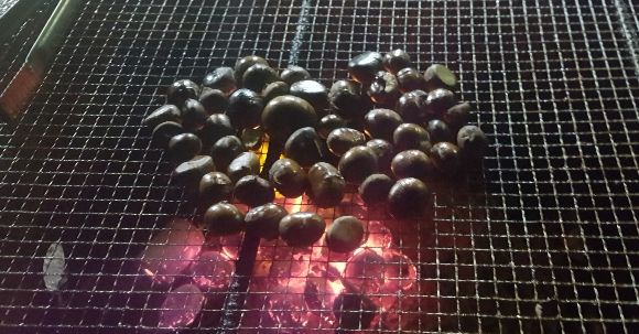 244f4a6501552d2f14724998149902e9_1617174038_1324.jpg 244f4a6501552d2f14724998149902e9_1617174038_1324.jpg