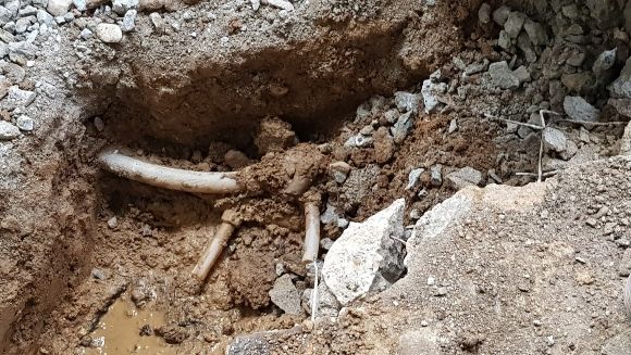 244f4a6501552d2f14724998149902e9_1617175028_1826.jpg 244f4a6501552d2f14724998149902e9_1617175028_1826.jpg