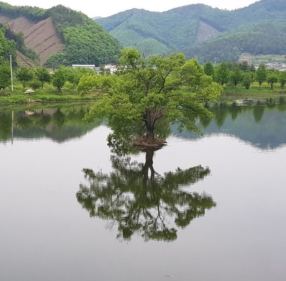 244f4a6501552d2f14724998149902e9_1617177472_9962.jpg 244f4a6501552d2f14724998149902e9_1617177472_9962.jpg