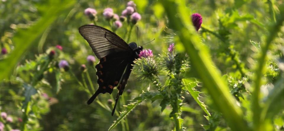 b640397e17a62ec828ec9e723da8c7e7_1732704822_7521.jpg b640397e17a62ec828ec9e723da8c7e7_1732704822_7521.jpg