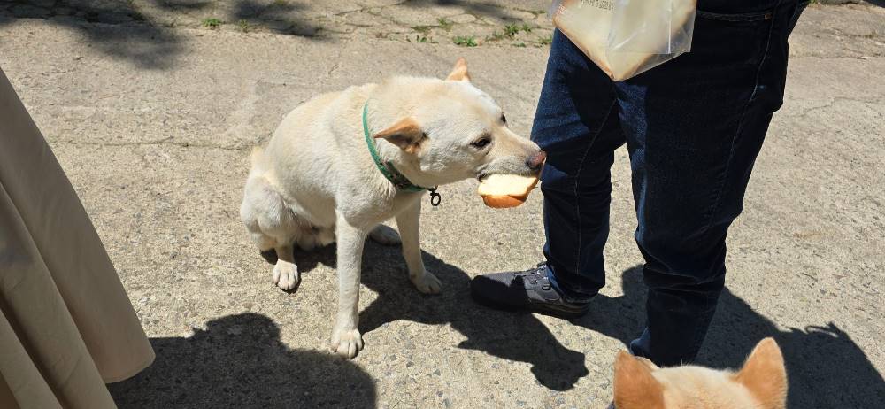 b640397e17a62ec828ec9e723da8c7e7_1732704889_4724.jpg b640397e17a62ec828ec9e723da8c7e7_1732704889_4724.jpg