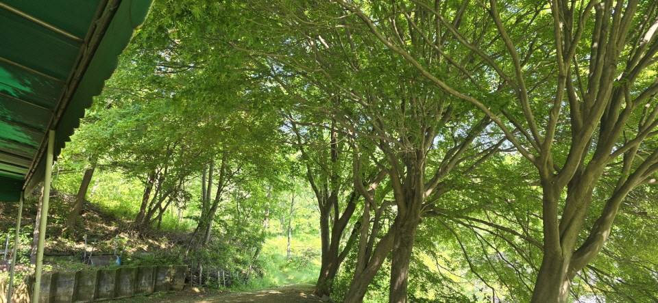 b640397e17a62ec828ec9e723da8c7e7_1732704889_8552.jpg b640397e17a62ec828ec9e723da8c7e7_1732704889_8552.jpg