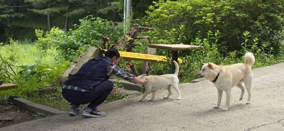 b640397e17a62ec828ec9e723da8c7e7_1732708484_7291.jpg b640397e17a62ec828ec9e723da8c7e7_1732708484_7291.jpg