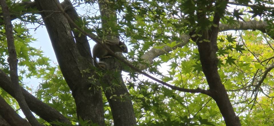 b640397e17a62ec828ec9e723da8c7e7_1732708484_8298.jpg b640397e17a62ec828ec9e723da8c7e7_1732708484_8298.jpg