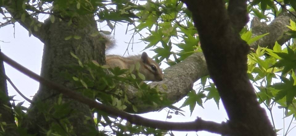 b640397e17a62ec828ec9e723da8c7e7_1732708484_9198.jpg b640397e17a62ec828ec9e723da8c7e7_1732708484_9198.jpg