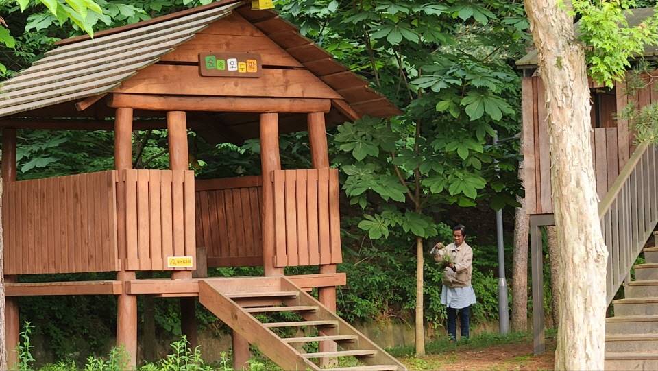 b640397e17a62ec828ec9e723da8c7e7_1732708554_3595.jpg b640397e17a62ec828ec9e723da8c7e7_1732708554_3595.jpg