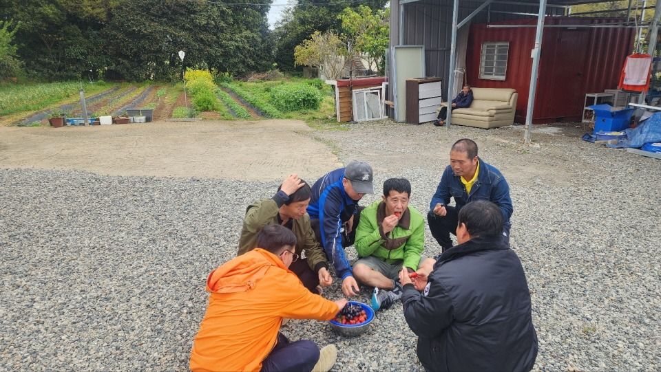 2e7df7ac00cac509e9f2917edf2c2bd7_1748240333_6495.jpg 2e7df7ac00cac509e9f2917edf2c2bd7_1748240333_6495.jpg