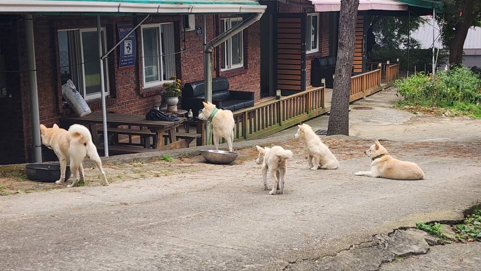 4fd7a38ebb246cd68f9bdb512c2e66ff_1747641255_1859.jpg 4fd7a38ebb246cd68f9bdb512c2e66ff_1747641255_1859.jpg