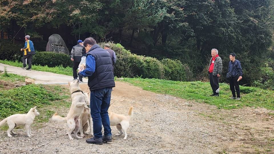 4fd7a38ebb246cd68f9bdb512c2e66ff_1747641255_6765.jpg 4fd7a38ebb246cd68f9bdb512c2e66ff_1747641255_6765.jpg