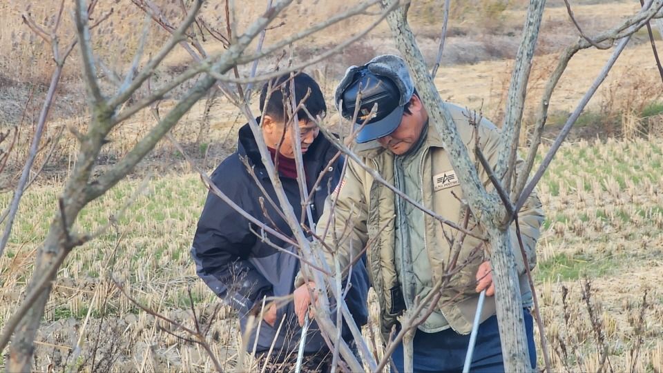 4fd7a38ebb246cd68f9bdb512c2e66ff_1747644838_1285.jpg 4fd7a38ebb246cd68f9bdb512c2e66ff_1747644838_1285.jpg