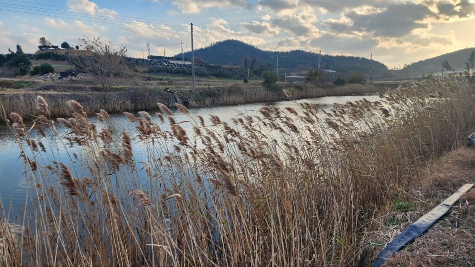 4fd7a38ebb246cd68f9bdb512c2e66ff_1747644838_9593.jpg 4fd7a38ebb246cd68f9bdb512c2e66ff_1747644838_9593.jpg