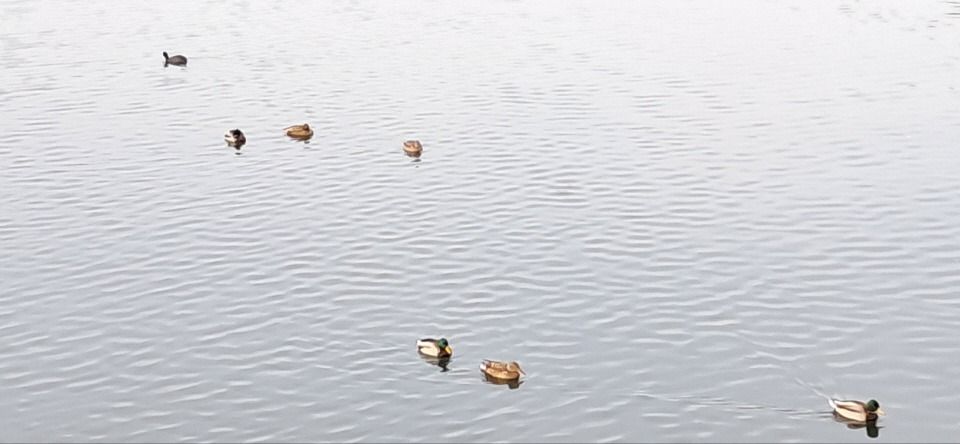 4fd7a38ebb246cd68f9bdb512c2e66ff_1747645723_9906.jpg 4fd7a38ebb246cd68f9bdb512c2e66ff_1747645723_9906.jpg