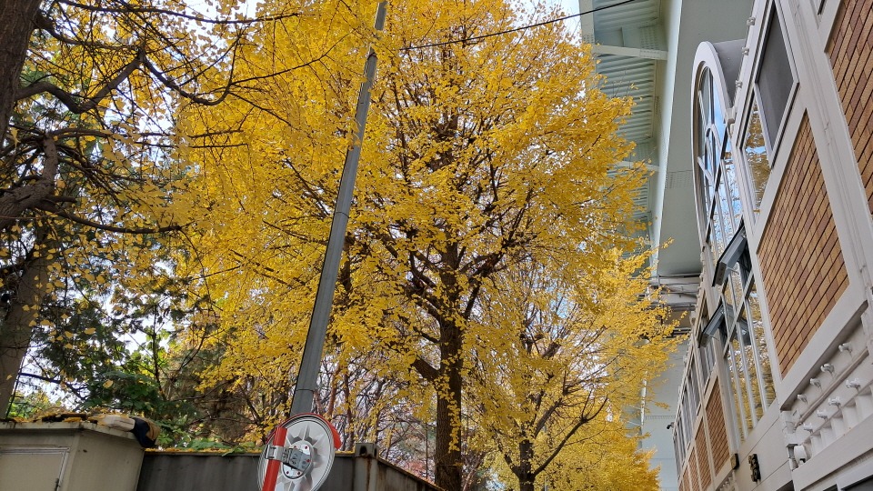 1858be6ddde7fae7c7c43246cc7f718a_1765519613_9815.jpg 1858be6ddde7fae7c7c43246cc7f718a_1765519613_9815.jpg